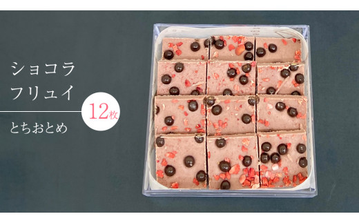 【茨城県つくばみらい市】ショコラフリュイ とちおとめ 12枚 チョコレート チョコ スイーツ デザート 高級 ギフト 贈り物 お礼 プレゼント 手土産 お菓子
