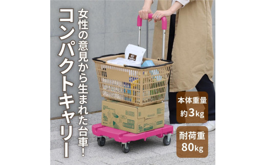 専用　【新品】旧ルギャール　コンポート特大 2021SKセール限定品】9.5sq.工具セット トルクルモデル（ローラー