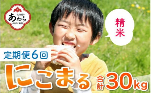 先行予約】【令和6年産 新米】《定期便6回》精米 にこまる 5kg（計30kg）＜食味値85点以上！低農薬栽培＞ ／ 高品質 鮮度抜群 福井県  あわら市産 ブランド米 白米 お米 米《出荷直前精米でお届け！》 ※2024年10月中旬以降発送予定 - 福井県あわら市｜ふるさとチョイス ...