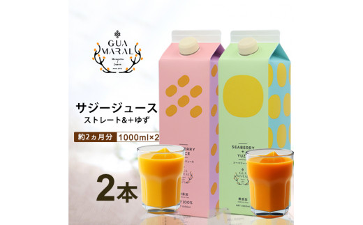 サジージュース 100%と+ゆず 1000ml×各1本セット（計2本）サジー シーベリー 沙棘 グアマラル 健康ドリンク 健康 美容 栄養 果汁  鉄分補給 栄養補給 健康食品_DX06