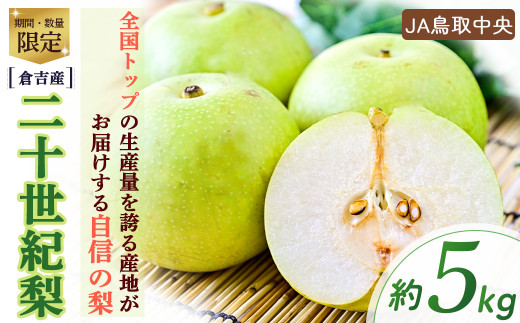 二十世紀梨【倉吉産】５ｋｇ（ＪＡ鳥取中央） 梨 鳥取 5kg 果物