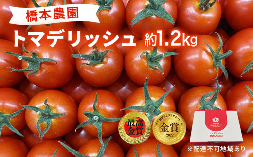 yRԔ֎szt[c g}g m2026Ns\n g}fbV 1.2kg {_ R  x | e ʎ Â T_ ̂܂ RY ΉF