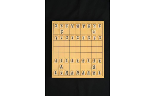 06H8002 将棋駒と将棋盤のセット(押駒・1寸盤) - 山形県天童市 ...