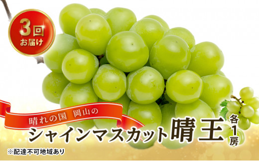 �y���R���ʖ�s�z�Ԃǂ� 2026�N ��s�\�� 3�񂨓͂��I  ����̍� ���R�� �V���C�� �}�X�J�b�g  ���� ×3��I�i�e1�[�j ����  ���R���Y ���Y �t���[�c �M�t�g 1�[600g�ȏ� �嗱 ��Ȃ� �Â݂�����