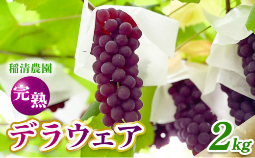 y{szy2026Ns\zʌ fEFA2kgi10[Oj6{`7{bI Ԍ Ԃǂ  t[c ʕ  lC p Mtg s\ Ȃ { V