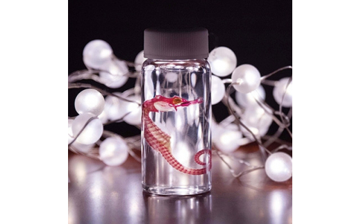 sd1_0aed8b0ccf32885cfd9d96f8e7