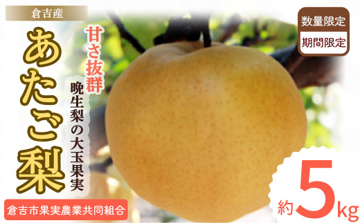 あたご梨 【倉吉産】 ５ｋｇ（倉吉市果実農業共同組合） 梨 あたご梨 なし 鳥取 5kg 果物 フルーツ 和梨 先行予約 数量限定 詰め合わせ 甘い  ジューシー 大玉 やわらかい 人気 - 鳥取県倉吉市｜ふるさとチョイス - ふるさと納税サイト