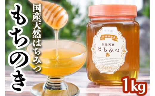 はちみつ 1kg 非加熱 国産 天然 純はちみつ もちの木 蜂蜜 ハチミツ 天然蜂蜜 天然はちみつ 国産はちみつ 国産蜂蜜 無添加 無加工 非加熱はちみつ  非加熱蜂蜜 瓶詰め 福岡 福岡県 小郡市 - 福岡県小郡市｜ふるさとチョイス - ふるさと納税サイト