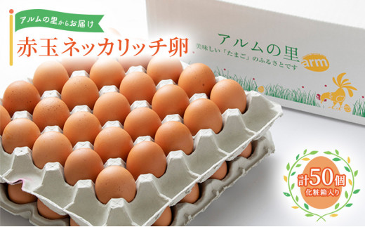 卵 赤玉 ネッカリッチ卵 50個入り 鶏卵 たまご - 岡山県赤磐市
