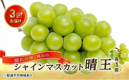 ぶどう 2024年 先行予約 3回お届け！ 晴れの国 岡山の シャイン マスカット 晴王 ×3回！（各1房） 葡萄 岡山県産 国産 フルーツ 果物  ギフト - 岡山県里庄町｜ふるさとチョイス - ふるさと納税サイト
