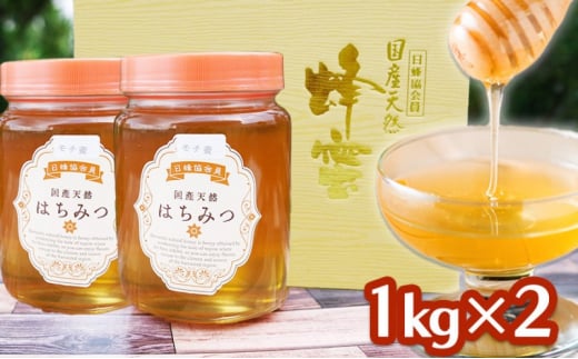 はちみつ 2kg (1kg×2) 非加熱 国産 天然 純はちみつ もちの木 蜂蜜 ハチミツ 天然蜂蜜 天然はちみつ 国産はちみつ 国産蜂蜜 無添加  無加工 非加熱はちみつ 非加熱蜂蜜 瓶詰め 福岡 福岡県 小郡市 - 福岡県小郡市｜ふるさとチョイス - ふるさと納税サイト