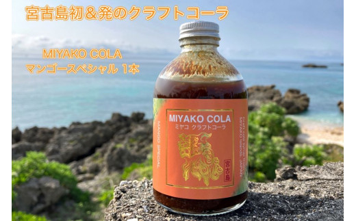 宮古島産　摘果マンゴー7kg 宮古島産マンゴー 良品4.5kg（白箱入） | RIN−KAJUEN