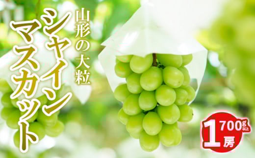 yR`R`szR`̑[VC}XJbg 700gȏ 1[ yߘa8NYs\z FS24-009  ʕ t[c R` R` R`s 2026NY