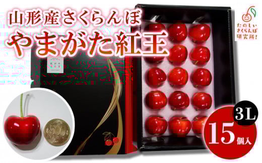 yR`R`sz ܂g 3L 15yߘa8NYs\z FS24-077  ʕ t[c R` R` R`s 2026NY