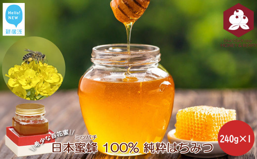 日本蜜蜂 100% 純粋 はちみつ 非加熱 240g×2 希少 国産 蜂蜜 ハチミツ