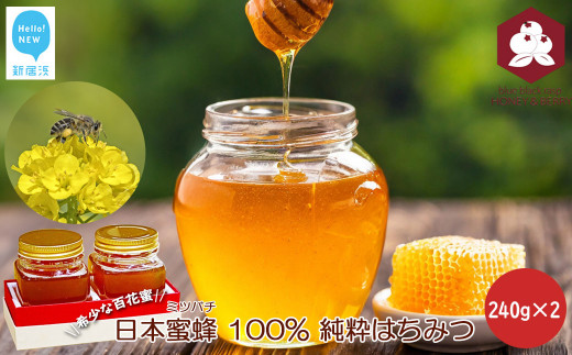 日本蜜蜂 100% 純粋 はちみつ 非加熱 240g×1 希少 国産 蜂蜜 ハチミツ