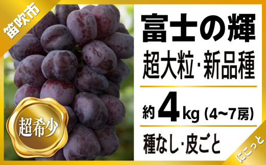 2024年先行予約＞たっぷり4キロ 富士の輝き（4-7房） 097-015