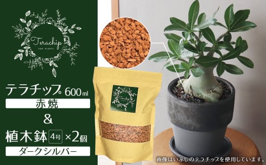 三河焼植木鉢ダークシルバー【テラチップ赤焼】プランター お手軽植物栽培セット H188-002 - 愛知県碧南市｜ふるさとチョイス -  ふるさと納税サイト