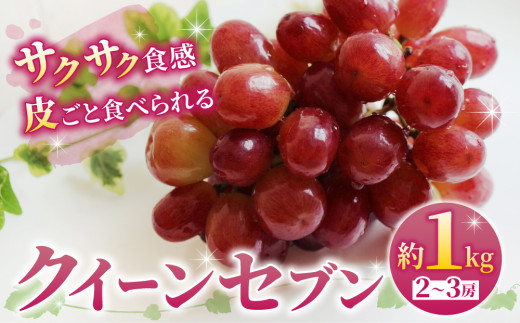 先行予約【あおさく農園】皮ごと食べられるクイーンセブン2～3房（約1kg）｜2025年9月以降発送予定 - 長野県東御市｜ふるさとチョイス -  ふるさと納税サイト