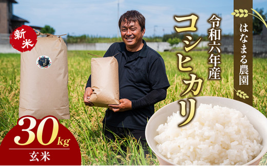 №4631-2022]はなまる農園令和6年新米香川県産「コシヒカリ（玄米）30kg  