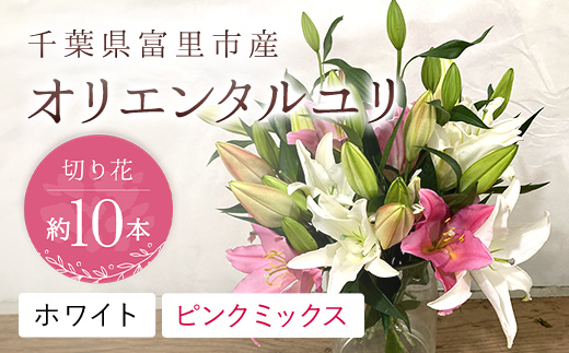 富里市産 オリエンタルユリ切り花（ホワイト・ピンクミックス）約10本 