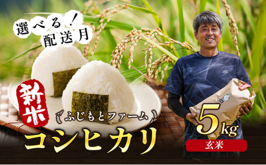 №4631-2374]令和6年産 ふじもとファームの新米【コシヒカリ（玄米）5kg】 - 香川県東かがわ市｜ふるさとチョイス - ふるさと納税サイト