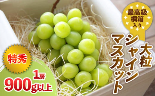 最高級桐箱入り 大粒 シャインマスカット 特秀品 900g以上 【令和7年産先行予約】FS24-043 くだもの 果物 フルーツ 山形 山形県 山形市  2025年産 - 山形県山形市｜ふるさとチョイス - ふるさと納税サイト