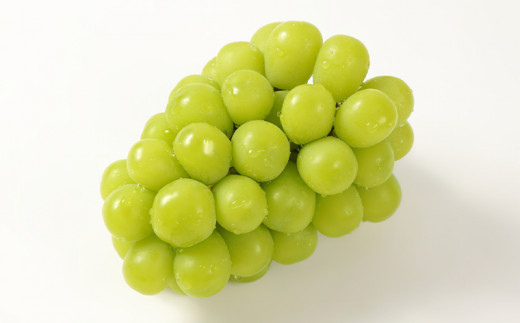 ふるさと納税】【厳選の1房】こだわりの シャインマスカット 600g以上