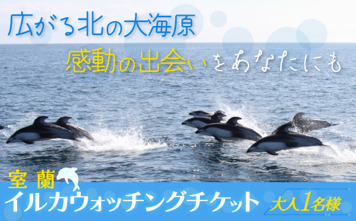 室蘭 イルカウォッチングチケット 大人2名様 【 ふるさと納税 人気 おすすめ ランキング 北海道 室蘭 大人 2名 イルカ ウォッチング クジラ  チケット 観光 プライベート イベント 休日 北海道 室蘭市 送料無料】 MROX004 - 北海道室蘭市｜ふるさとチョイス - ふるさと納税 ...