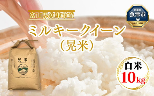 �y�x�R�����Îs�z�y�ߘa7�N�x�āz�y�_�ƒ����z���z���u���Ẫ~���L�[�N�C�[���i�W�āj�v10kg�i���āj �b�V�� MK�_�Y ���� ������ �u�����h�� ���� ���ɂ��� ���ٓ� �a�H ��H ���Y �Y�n��