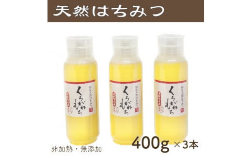 竹内養蜂の蜂蜜1種(くろがねもち3本) 各400g プラスチック便利容器【1488847】 - 愛知県半田市｜ふるさとチョイス - ふるさと納税サイト