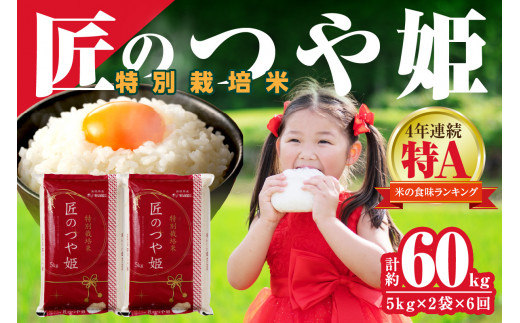 つや姫 10kg 特別栽培米 5月上旬精米 sd1_46c540ea8caf454e6441191178