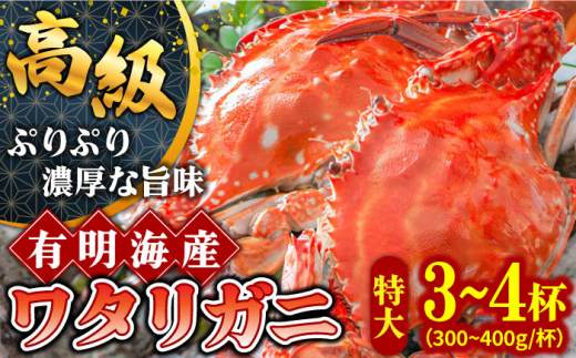 渡り蟹 2026年7月〜発送】【数量限定】有明海の厳選ワタリガニ 特大