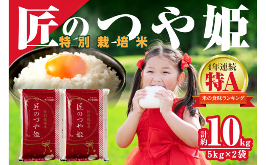 スピード発送】【令和6年産】特別栽培米「匠のつや姫」5kg×2袋
