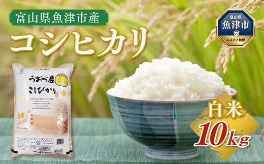 令和6年度米】米 コシヒカリ 10kg ※2024年10月中旬頃より順次発送予定※北海道、沖縄、離島配送不可 - 富山県魚津市｜ふるさとチョイス -  ふるさと納税サイト