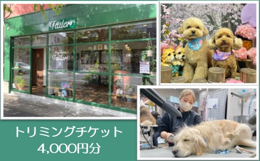 Dog Salon Tailor チケット 4000円分 / 犬 ドッグ わんちゃん