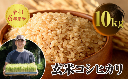 令和6年産 JAS認定 有機栽培米 コシヒカリ 玄米 10kg（5kg × 2