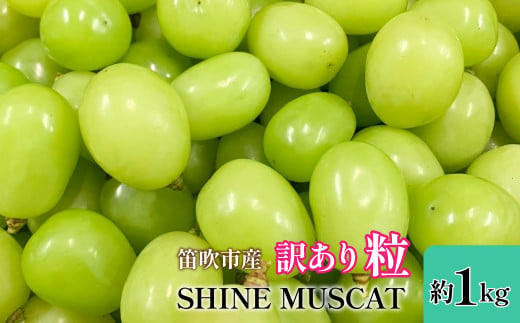 2024年発送＞山梨県笛吹市産 シャインマスカット訳有粒 1kg以上 105-018 ☆房から外した粒シャインマスカットです -  山梨県笛吹市｜ふるさとチョイス - ふるさと納税サイト