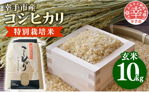 【令和6年産】有機肥料100％ 埼玉県幸手市産特別栽培コシヒカリ 玄米10kg -2024年10月1週目より順次発送 新米発送 コシヒカリ こしひかり  米 玄米 10kg 有機肥料 特別栽培幸手市産 埼玉県 幸手市【価格改定】 - 埼玉県幸手市｜ふるさとチョイス - ふるさと