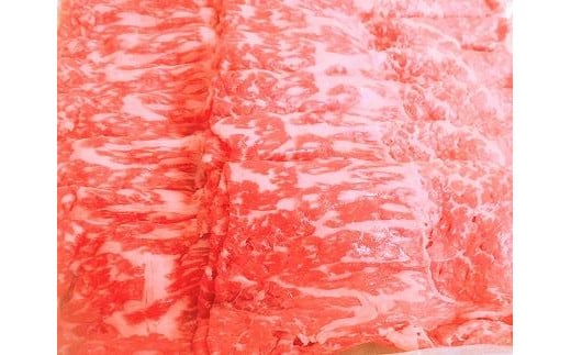 yꌧszyⓀEw\z̍јaߍ]yzԐg₫p500gMS43