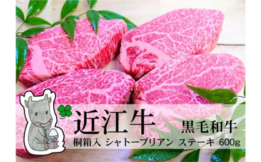 yꌧszyⓀEw\z̍јaߍ]yA5z˔q[XVg[uAXe[Lp600g(4)MS98