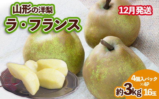 yR`R`szR`̗m tX Di 3kg 16(4obN×4P)[12] FY24-039