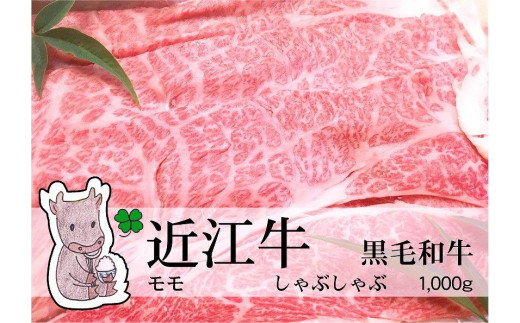 yꌧszyⓀEw\z̍јaߍ]yzԐgԂԗp1000gMS23