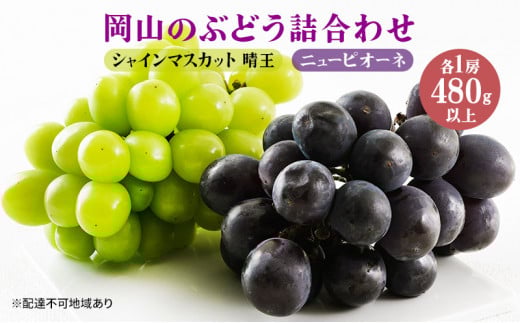 yRʖszԂǂ 2026N s\ ʕ l j[ sI[l 1[480gȏ VC }XJbg  1[ 480gȏ ϔ uhE   RY Y t[c ʕ Mtg