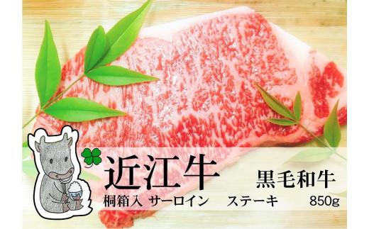 yꌧszyⓀEw\z̍јaߍ]yA5zT[CXe[Lp850gMS81