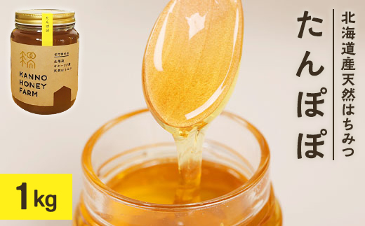 【北海道訓子府町】北海道産天然はちみつ たんぽぽ 1kg【1056691】