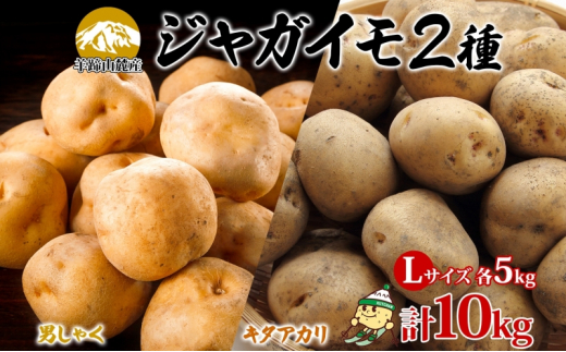 ykCmzkCYႪ j L^AJe5kg LTCY v10kg WKC j݂ k n鏒 |eg   Y Y JA悤Ă  kC m