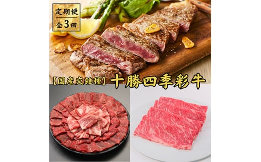 毎月定期便＞十勝四季彩牛 焼肉・すき焼き・ステーキセット 全3回【4012927】 - 北海道帯広市｜ふるさとチョイス - ふるさと納税サイト