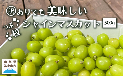 【ふるさと納税】訳ありだけど美味しい 2024年発送 シャインマスカット 粒 約500g 山梨県笛吹市 ふるさと納税 シャインマスカット ぶどう  ブドウ 葡萄 果物 フルーツ 数量限定 訳あり 山梨県 笛吹市 送料無料 154-038 - 山梨県笛吹市｜ふるさとチョイス ...