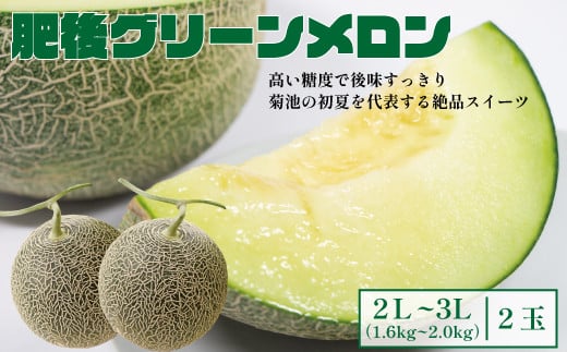 肥後グリーンメロン (大) 2L～3Lサイズ 2玉【2024年5月上旬～6月下旬発送予定】